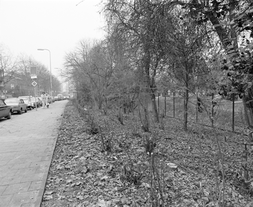 881648 Afbeelding van het plantsoen langs de begraafplaatsen aan de Gansstraat te Utrecht.
